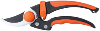 Pruning Shear