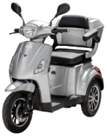 Electric Trycicle TRP800-1