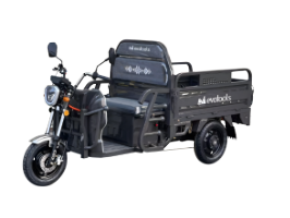 Electric Cargo Trycicle TRCC1000