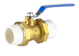 PPR Brass Valve