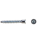 Socket Screw