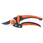 Pruning Shear