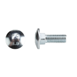 Torbant screw