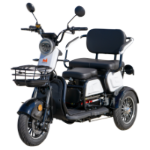 Electric Passenger Tricycle TRP1000